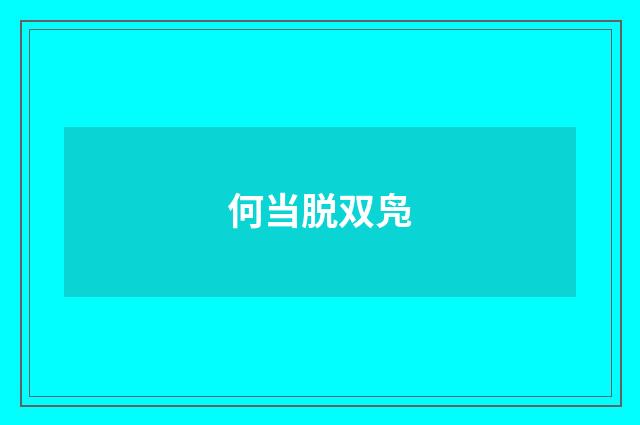 何当脱双凫