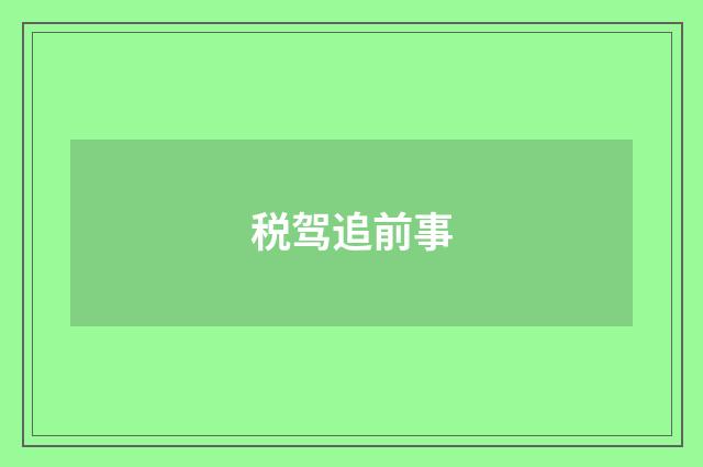 税驾追前事
