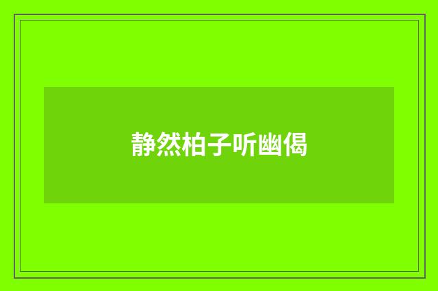 静然柏子听幽偈