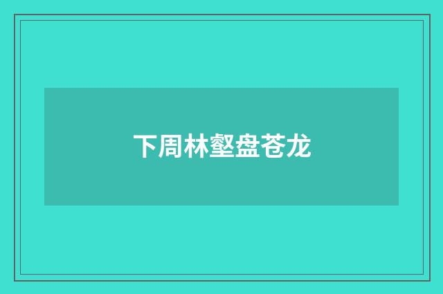 下周林壑盘苍龙