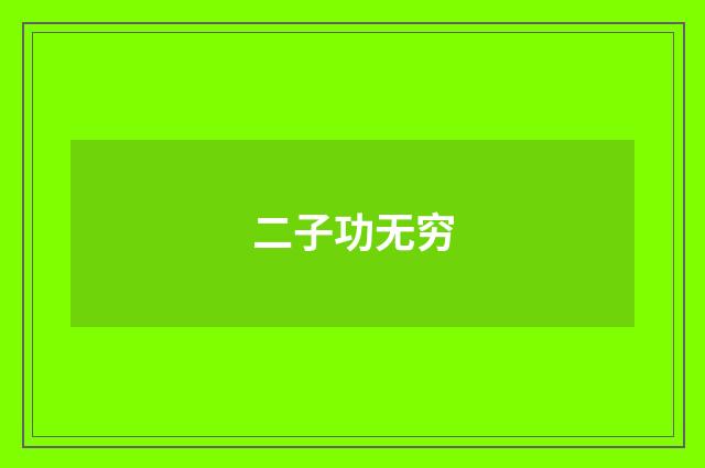二子功无穷