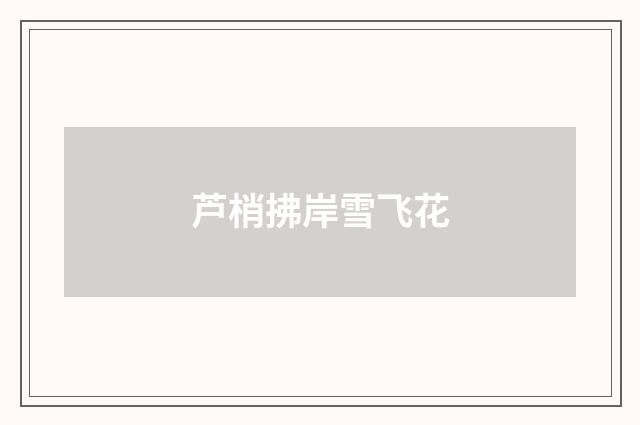 芦梢拂岸雪飞花