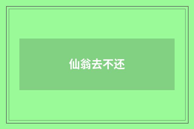 仙翁去不还