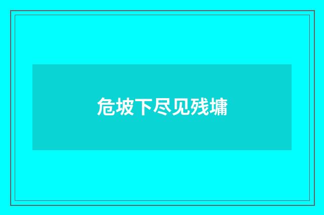 危坡下尽见残墉