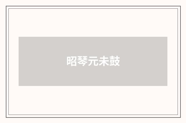 昭琴元未鼓