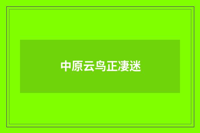 中原云鸟正凄迷