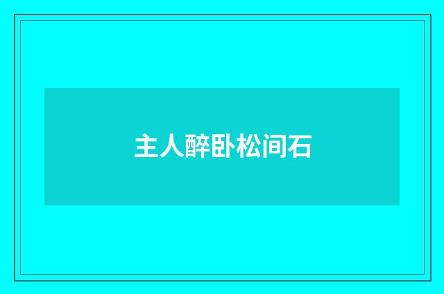 主人醉卧松间石