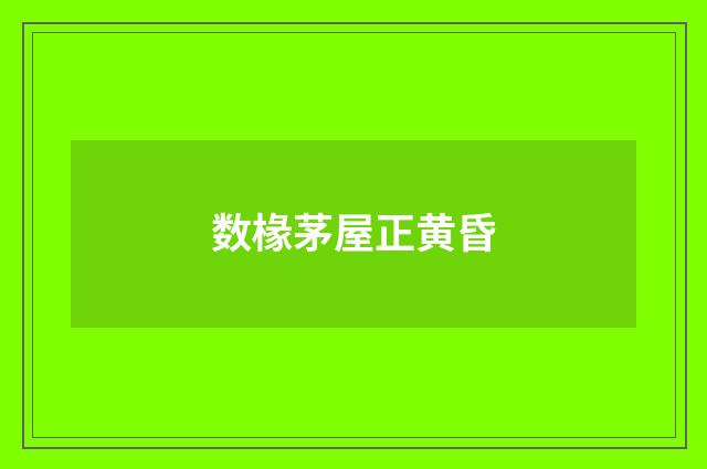 数椽茅屋正黄昏