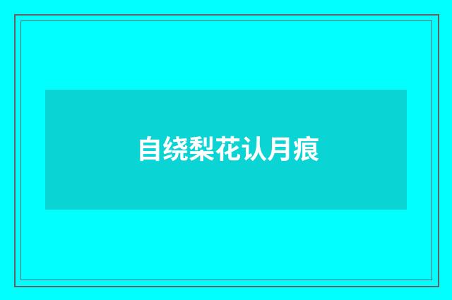自绕梨花认月痕