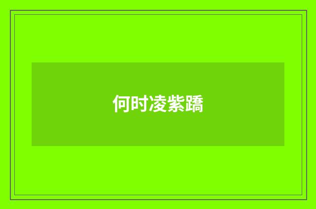 何时凌紫蹻