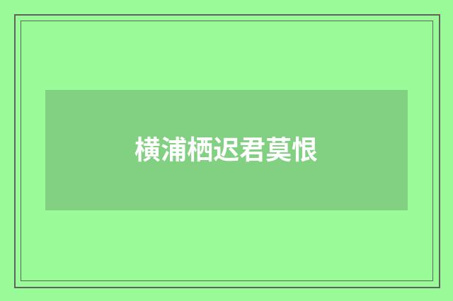 横浦栖迟君莫恨