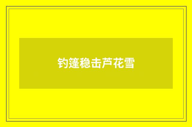 钓篷稳击芦花雪