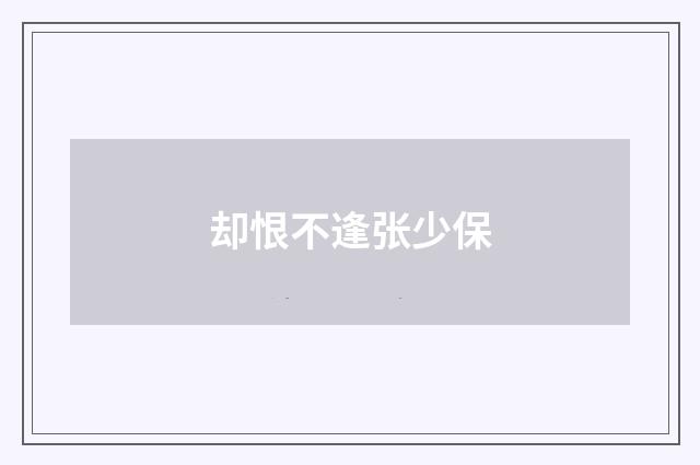 却恨不逢张少保