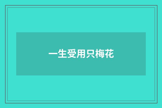一生受用只梅花