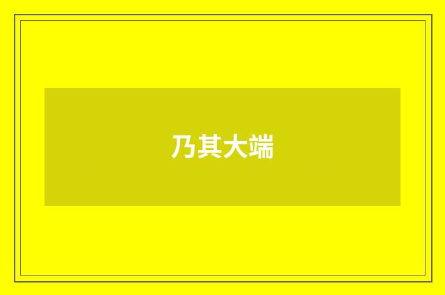 乃其大端