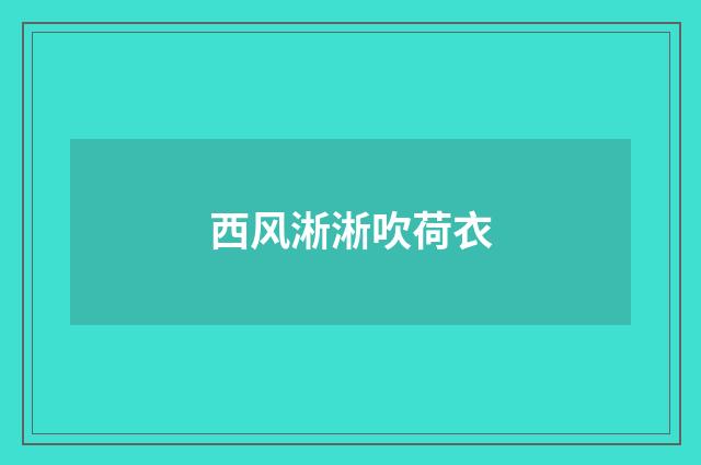 西风淅淅吹荷衣