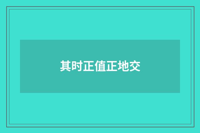其时正值正地交