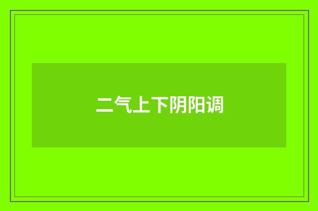 二气上下阴阳调
