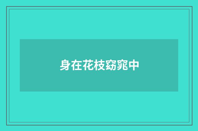 身在花枝窈窕中