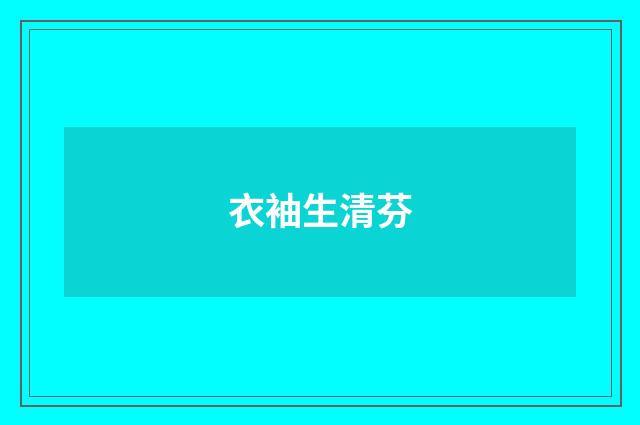 衣袖生清芬