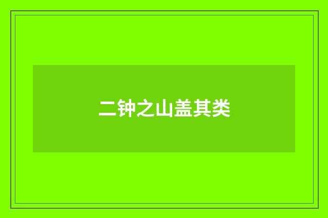 二钟之山盖其类