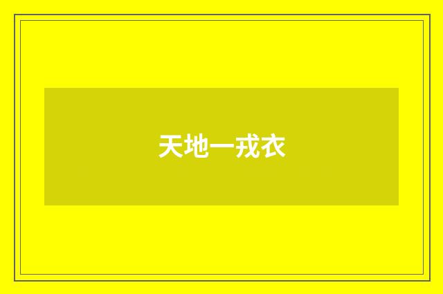 天地一戎衣