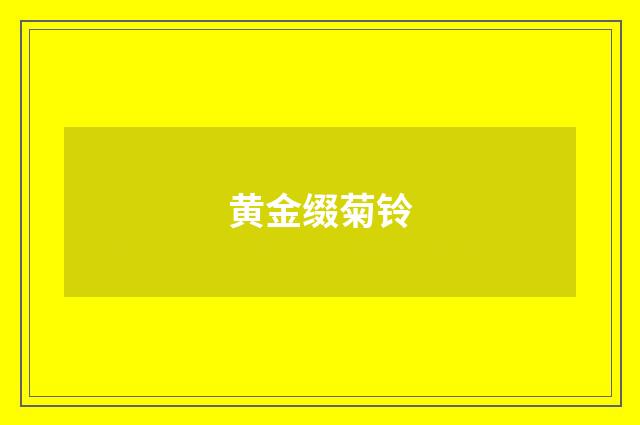 黄金缀菊铃