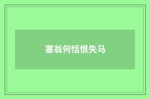 塞翁何恬恨失马