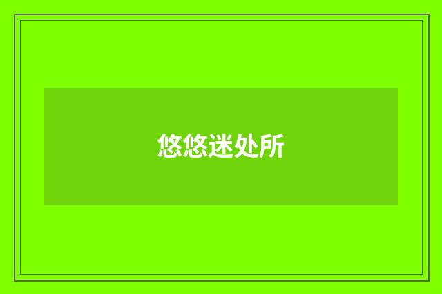 悠悠迷处所