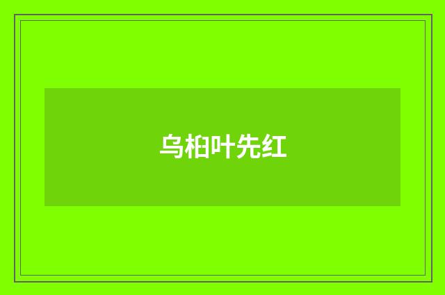 乌桕叶先红
