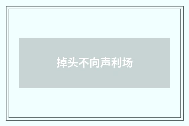 掉头不向声利场