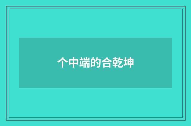 个中端的合乾坤