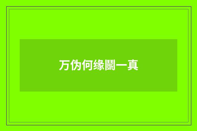 万伪何缘鬭一真