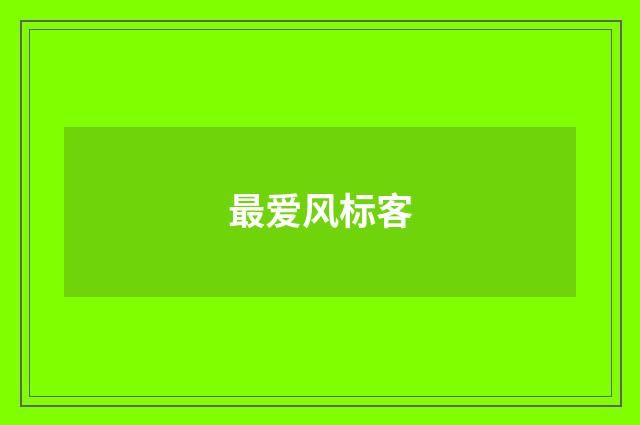 最爱风标客