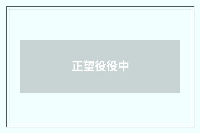 正望役役中