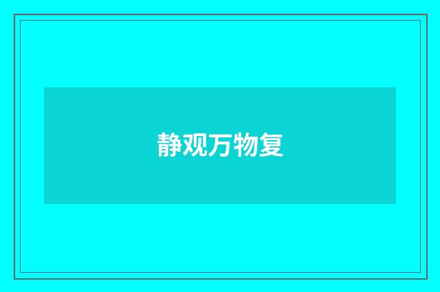 静观万物复