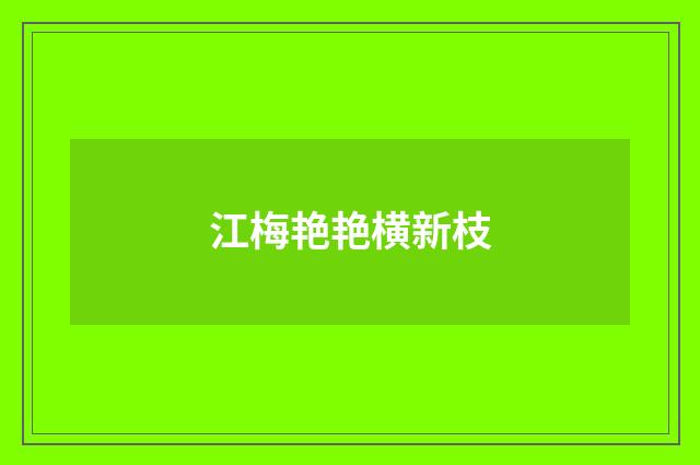 江梅艳艳横新枝