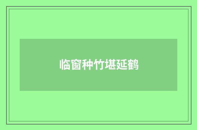 临窗种竹堪延鹤