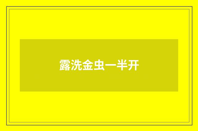 露洗金虫一半开
