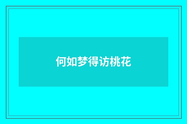何如梦得访桃花