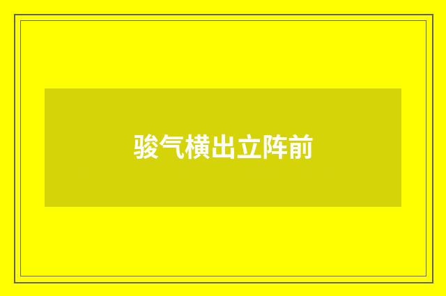 骏气横出立阵前