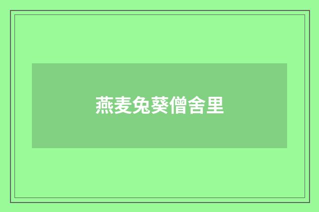 燕麦兔葵僧舍里