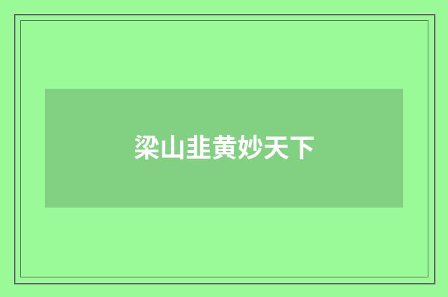 梁山韭黄妙天下
