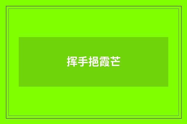 挥手挹霞芒
