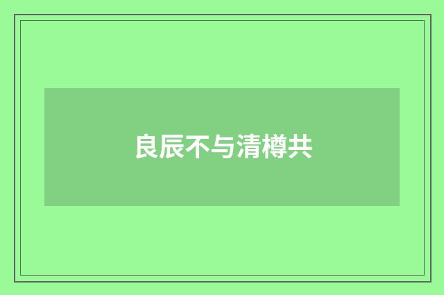 良辰不与清樽共