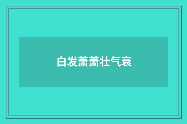 白发萧萧壮气衰
