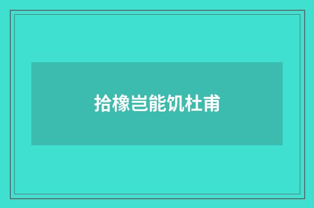 拾橡岂能饥杜甫