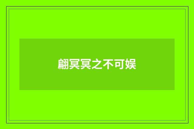 翩冥冥之不可娱