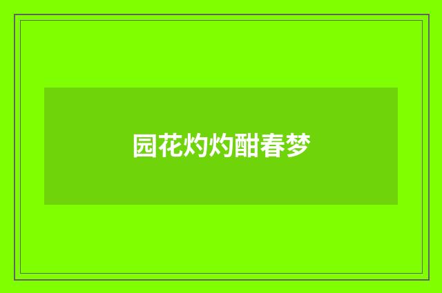 园花灼灼酣春梦