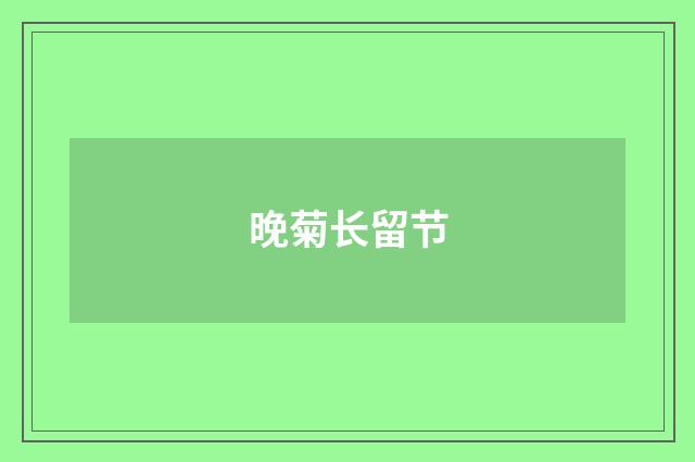 晚菊长留节